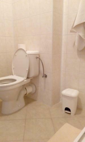 Hostal Penzion Bene?ova Hora