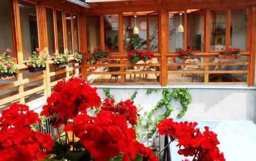 Apartm�ny Johanka