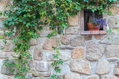 Hostal Ro?mberk Royale Pension