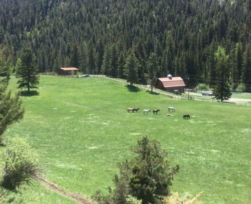 Pine Creek Cabin Livingston Montana