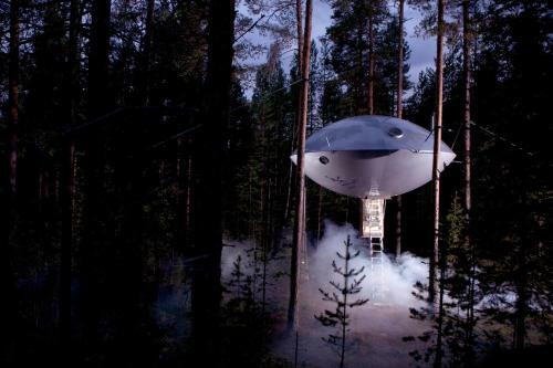 Lodge Treehotel