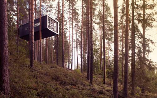 Lodge Treehotel