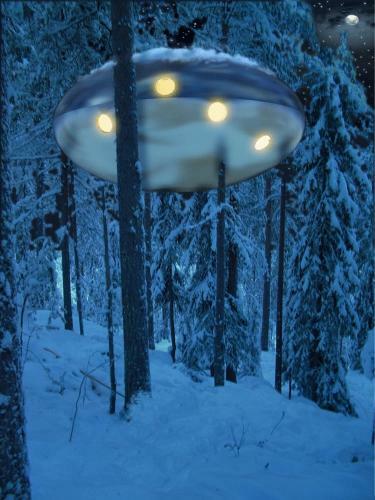 Lodge Treehotel