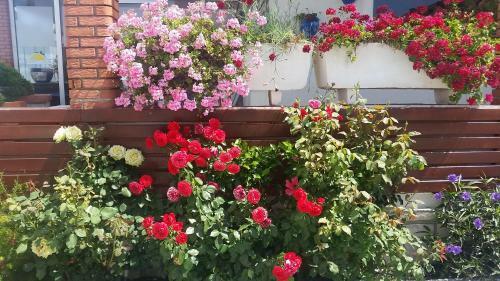 Urla Yelken Hotel