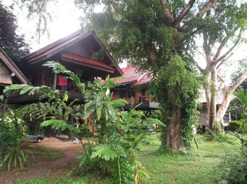 Bamboo House