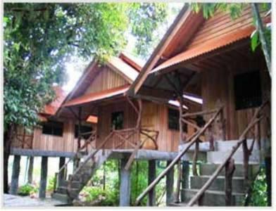 Bamboo House