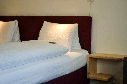 Hotel Schorta's Alvetern