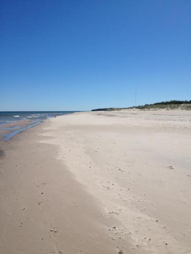 Hostal F�r�g�rden Bed & Breakfast