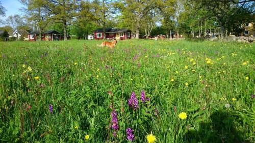 Agroturismo Stf Hagaby/lantg�rden Hostel