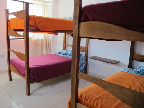 Hostal Frogs Chillhouse Hostel