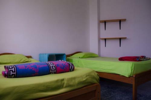 Hostal Frogs Chillhouse Hostel