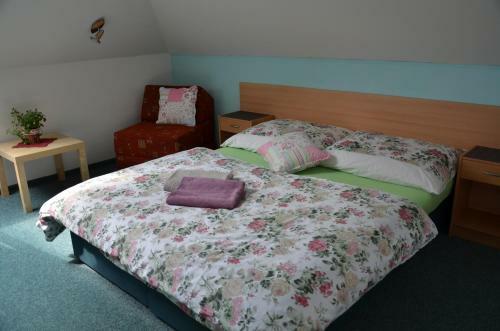 Hostal Penzion Aura