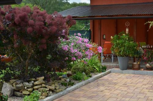 Hostal Penzion Aura