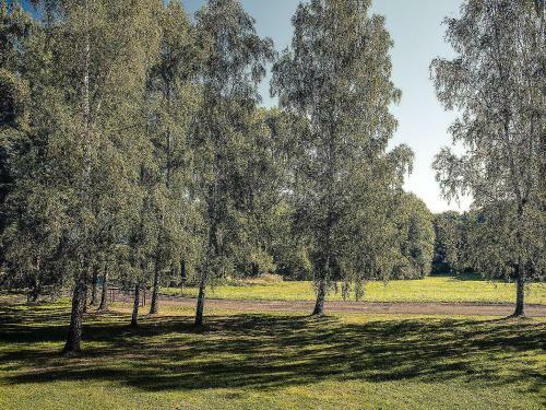 Hostal Penzion Dymn�k
