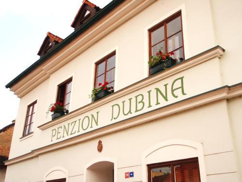 Hostal Penzion Dubina