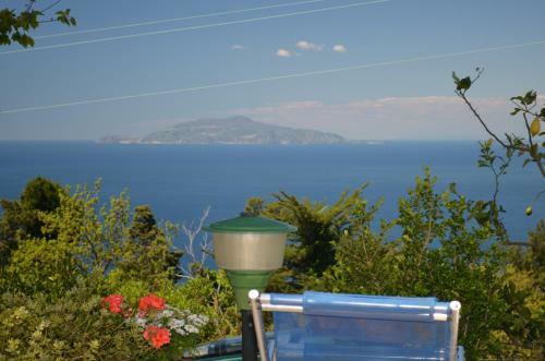 Alle Ginestre Capri B&B