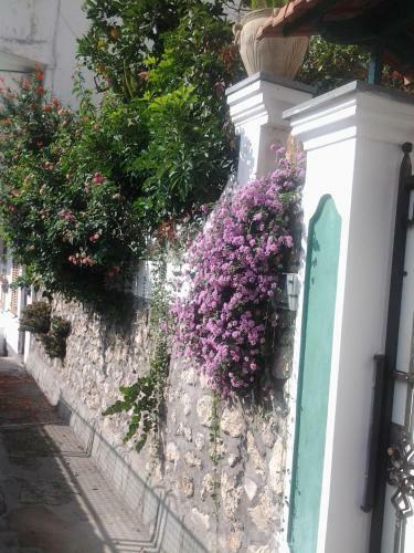 B&B Angelide