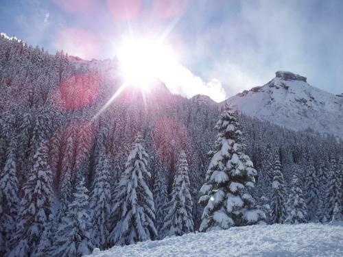 Apartamento Chalets Dolomites