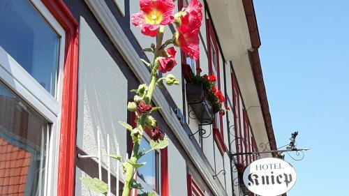 Hostal Hotel Kniep