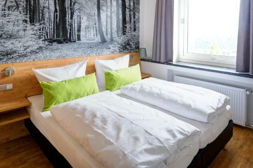 Apartamento Bsw Ferienwohnanlage Brockenblick