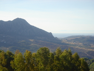 Hotel Caballo Andaluz
