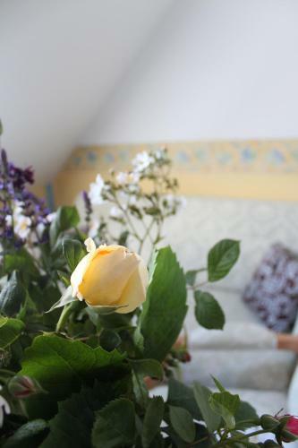 Landwerthotel Gutshof Insel Usedom