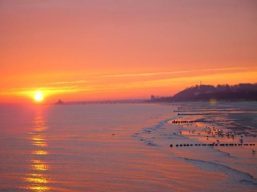 Landwerthotel Gutshof Insel Usedom