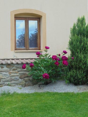 Hostal Penzion Serhant