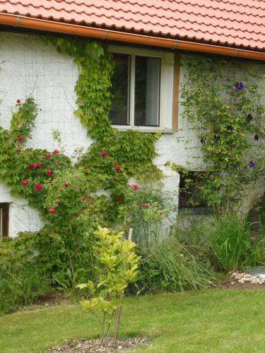 Hostal Penzion Serhant