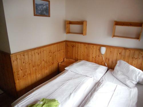 Hostal Penzion Kamzik