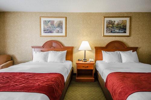 Hotel Comfort Inn & Suites Rockport