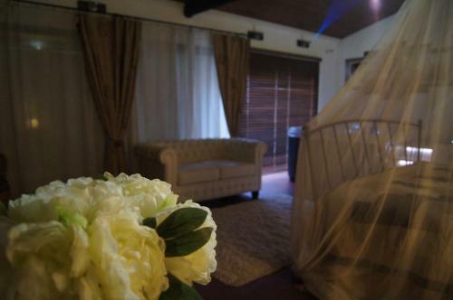 Bed & Breakfast Sarl Nids Douillets
