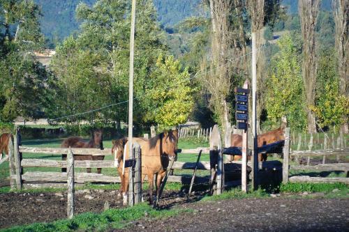 Agroturismo Mavidahue