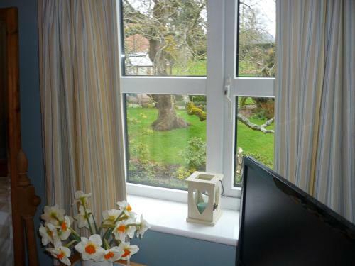 White Cottage Bed And Breakfast