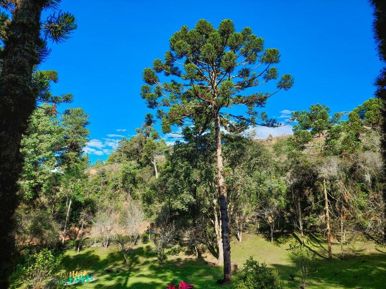 Hotel Golden Park Campos