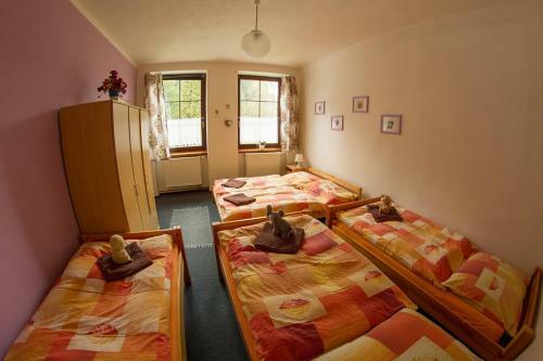 Hostal Penzion ?umavous