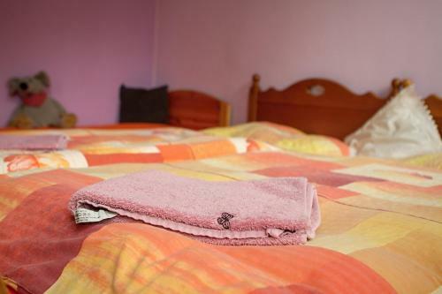 Hostal Penzion ?umavous