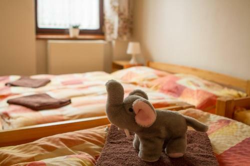 Hostal Penzion ?umavous