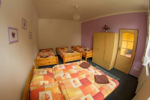 Hostal Penzion ?umavous