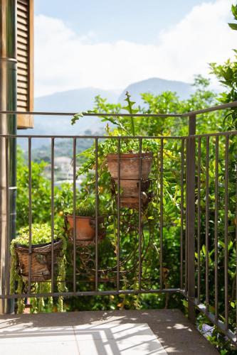 Bed & Breakfast L' Arancio In Fiore