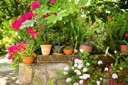 Bed & Breakfast L' Arancio In Fiore