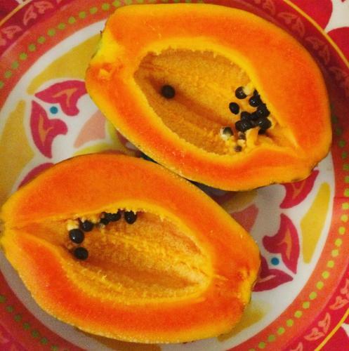 Hotel Flamingo Cabinas