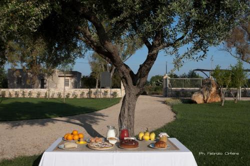 Agroturismo Agriturismo Le Granc�e