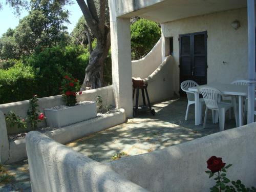 Apartamento R�sidence L'alivetu