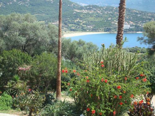 Apartamento R�sidence L'alivetu