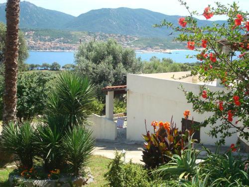 Apartamento R�sidence L'alivetu