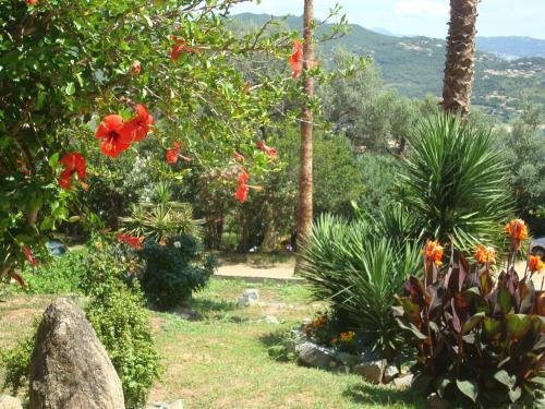 Apartamento R�sidence L'alivetu