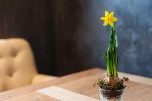 Bed & Breakfast Maison D'h�tes Du Cot� de Chez Anne