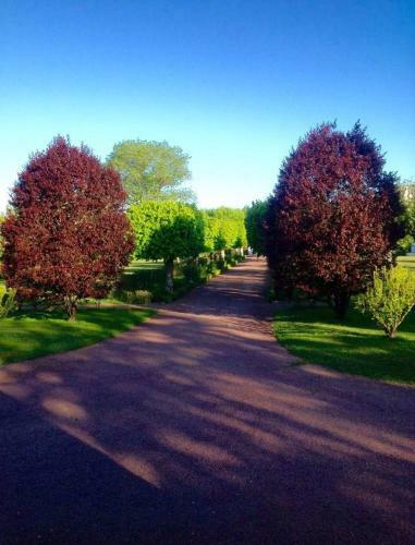 Bed & Breakfast Maison D'h�tes Villa Roffa