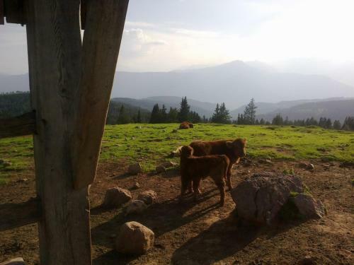 Hotel Garni Reider